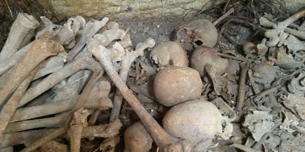 Kütahya'da Tarla Süren Çiftçi Roma Toplu Mezarı Buldu