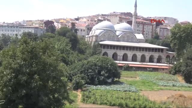 İstanbul’daki Tarihi Piyalepaşa Camii’nin Bostanı Otopark Yapılamıyor