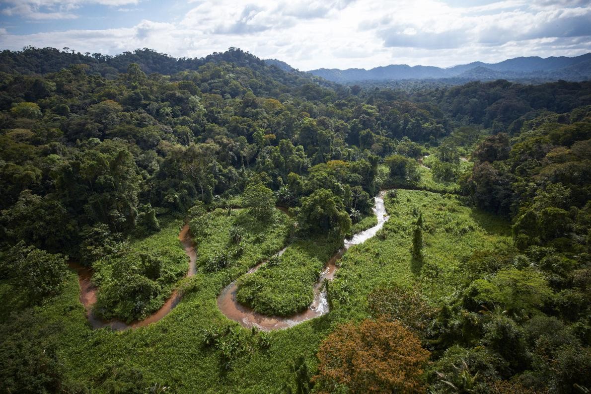 Geçen sene, LİDAR tarayıcısı ile orman örtüsünün altını derinlemesine inceleyen arkeologlar Honduras yağmur ormanlarında kayıp bir şehrin kalıntılarını keşfettiler. Fotoğraf: Dave Yoder, National Geographic 