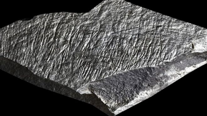 İngiltere Adasında 14.000 Yıllık Çizgi Kazılı Taş Aletler Bulundu