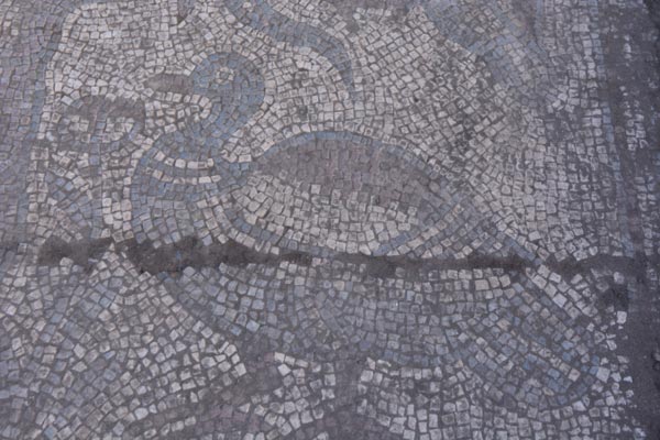 Osmaniye'de Kaçakçılar Roma Mozaikleri Buldu