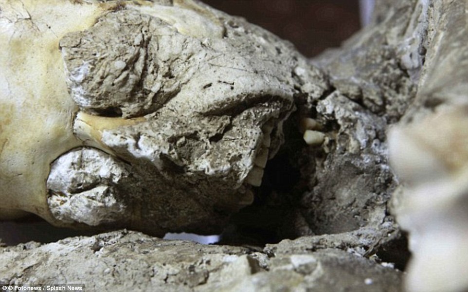 Pompeii İnsanlarına Yapılan Tomografik Taramalar Sonuç Veriyor