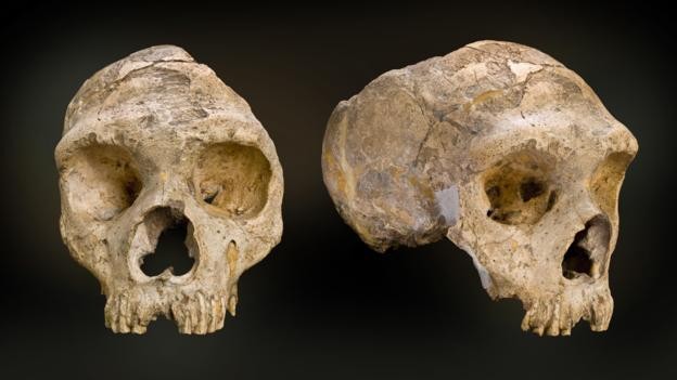Cebraltar son Neandertallerin birkaçına ev sahipliği yapıyordu. (Foto: Doğal Tarih Müzesi/SPL)