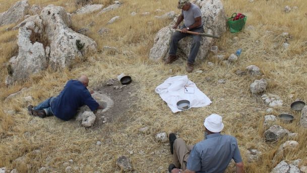 Huzuk Musa’da anakayaya oyulan 12,500 yıllık taş havanların Natufian insanları tarafından nasıl kullanıldığı test ediliyor. Görsel: Sara Katzburg