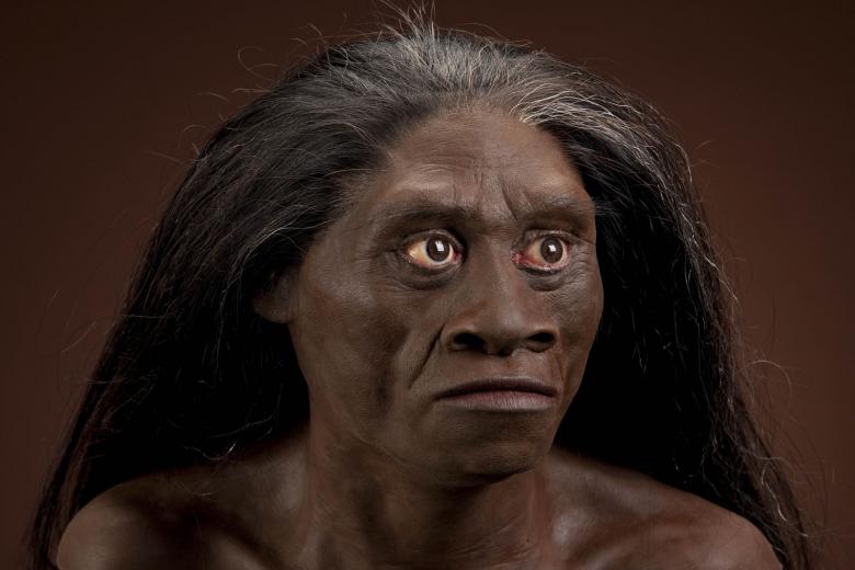 floresiensis1-1.jpg