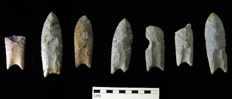 Clovis ucu gibi taş aletlerin arkeolojik kayıtlarda çok sayıda bulunması, arkeologların erkeklerin yaptığı varsayılan avcılık gibi aktivitelerin üzerinde çok durmasına sebep oldu.