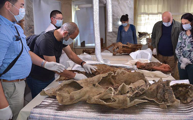 Moğolistan'da Bulunan 1500 Yıllık Türk Mumyası İncelenmeye Başlandı
