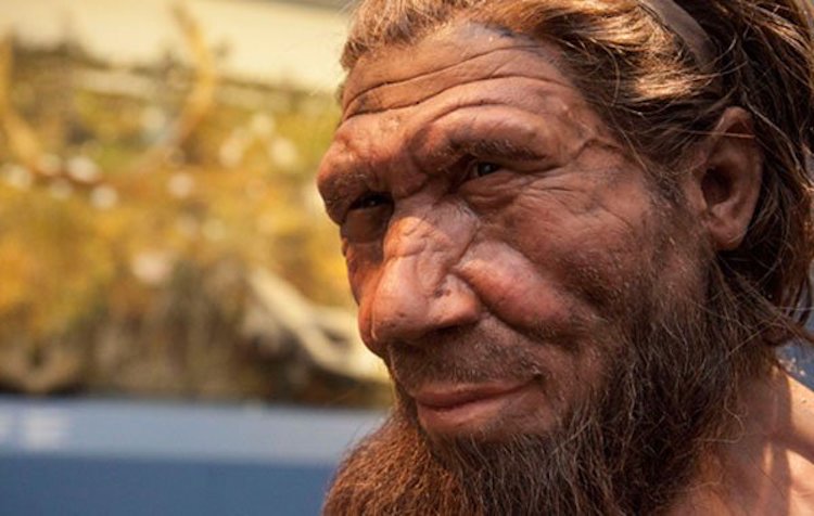 Neanderthal Facial Reconstruction 100