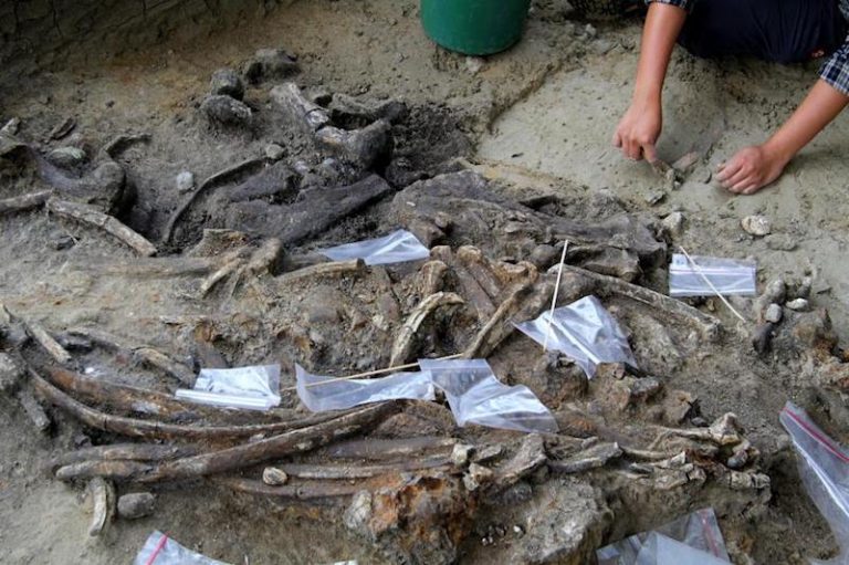 700.000 Yıllık Taş Aletler Gizemli Bir İnsan Türüne mi Ait? Arkeofili