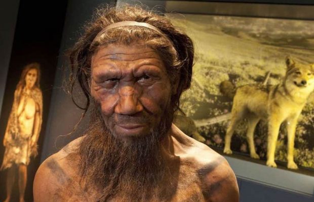 Neandertallerin Yok Olmasının Nedeni Kötü Şans Olabilir Arkeofili