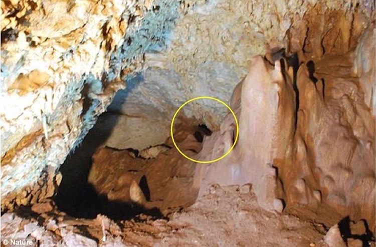İsrail’deki 55.000 Yıllık Kafatası Neandertal ve İnsan Çiftleşmesini Kanıtlayabilir