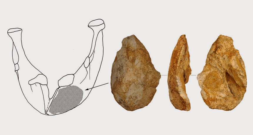 çinde bulunan kemik alet günümüzden 170.000 yıl öncesine tarihlendi