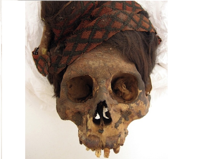 peru'da bulunan 2000 yıllık mumyanın saçlarına analiz yapıldı.