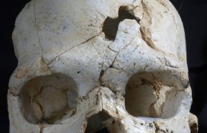 arkeolojik cinayet kafatası