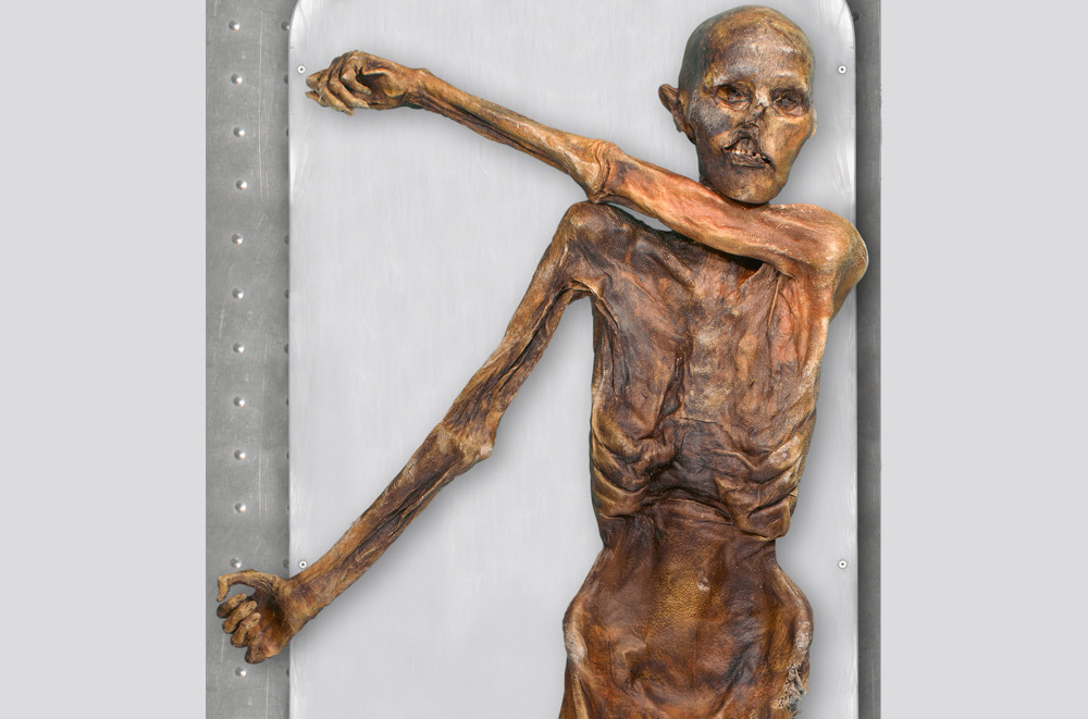 Ötzi vurulduktan hemen sonra ölmüş.