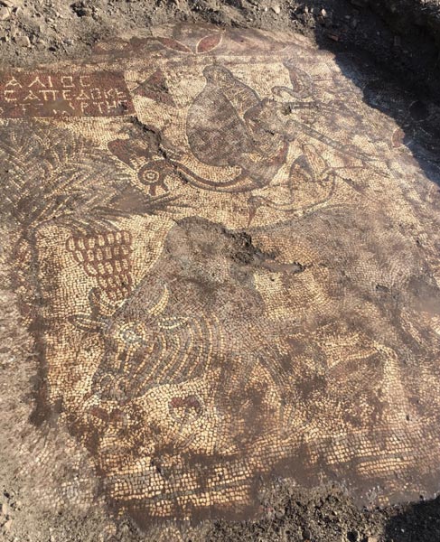 Osmaniye'de Kaçakçılar Roma Mozaikleri Buldu