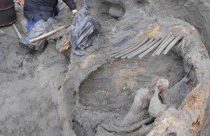 İnsan 45,000 Yıl Önce Kutup Bölgesi'ndeydi