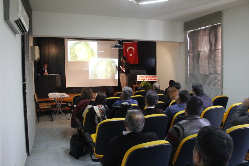 Bitlis’te Kültürel Mirasın Korunması Çalıştayı Yapıldı
