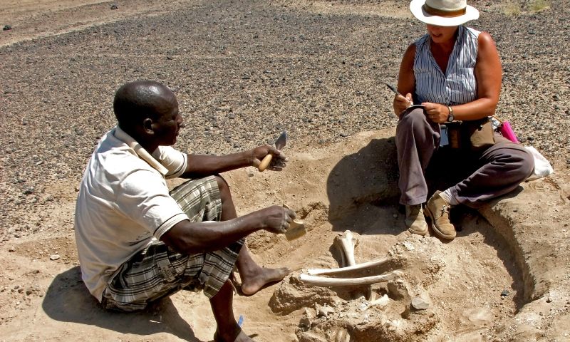 Kenya’da 10.000 Yıllık Bilinen En Eski Katliamın İzleri Bulundu