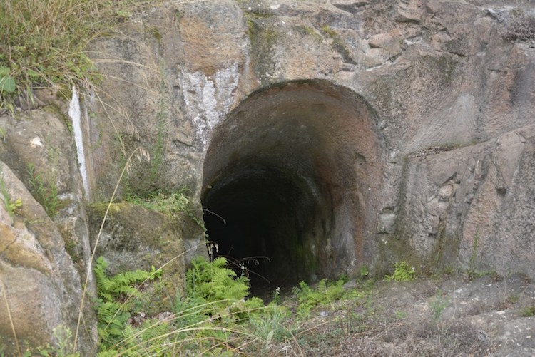 Ordu'da Cıngırt Mağarası Kazıları Yeniden Başlıyor