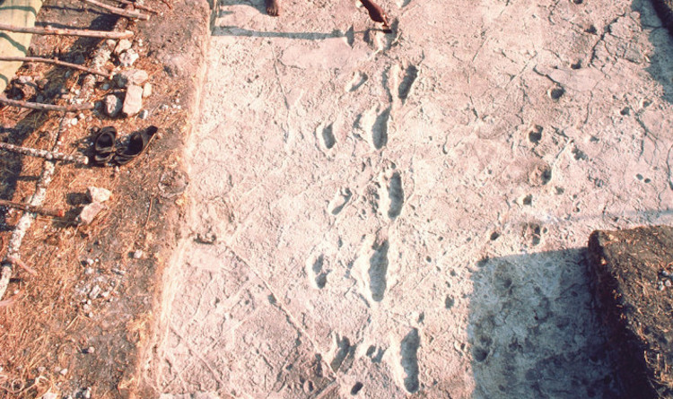Dünyanın En Eski İnsan Ayak İzleri İnceleniyor