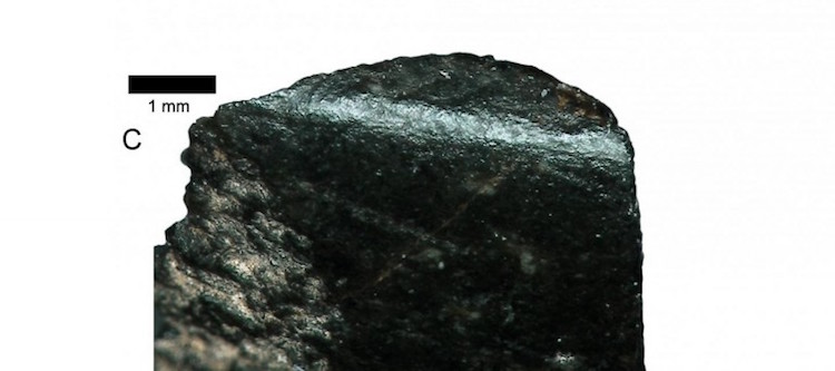 World’s oldest axe fragment, seen here under a microscope, is the size of a thumbnail. CREDIT – Australian Archaeology.