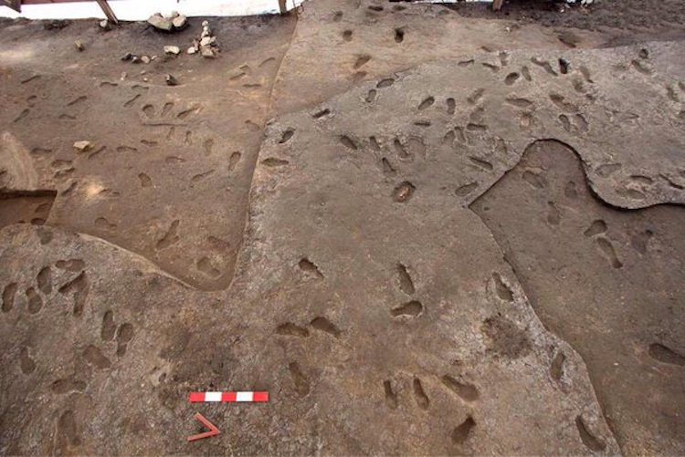 Yenikapı kazılarında bulunmuş 8500 yıllık ayak izleri.