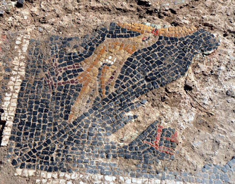 Kırıkkale'deki tarlada roma dönemi mozaiği bulundu.