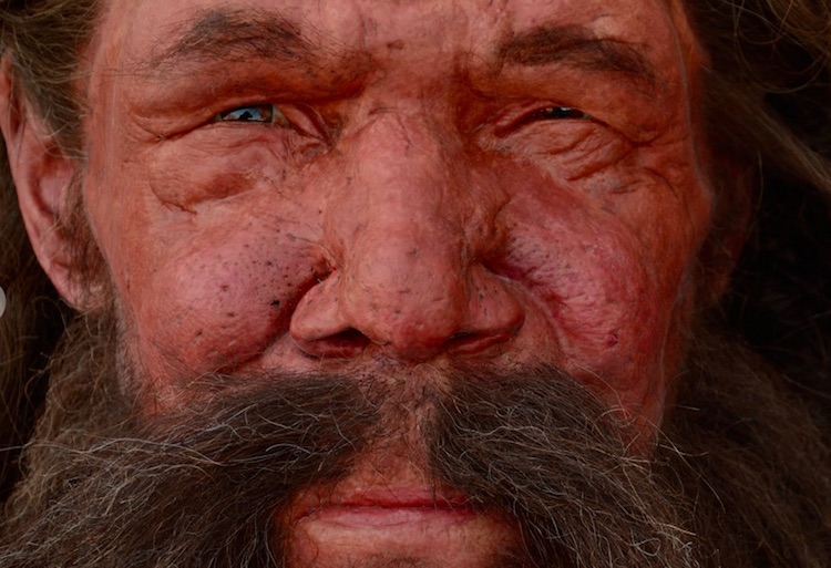 Tükenmeden Önce Neandertal Nüfusunda Patlama Yaşanmış