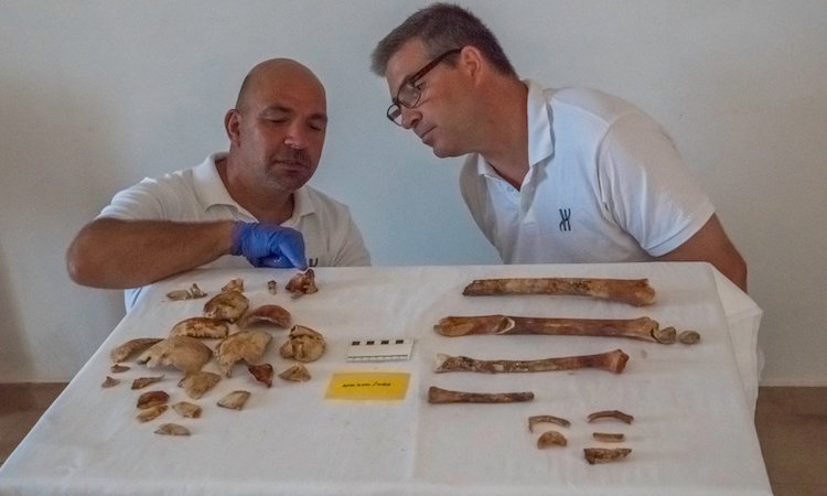 Antikythera Batığındaki insan kemiklerinin DNA'sı inceleniyor.