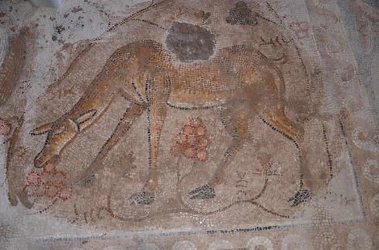 Konya'da 1400 Yıllık Aslan ve Savaşçı Mozaiği Bulundu