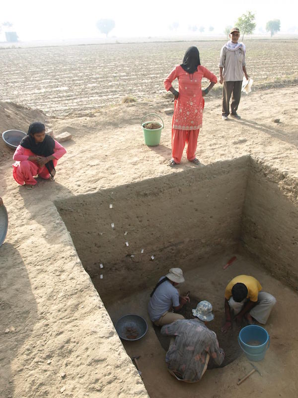 Rakhigari sit alanından yürütülen arkeolojik çalışmalar esnasından F: Toprak, Su ve Yerleşim Projesi