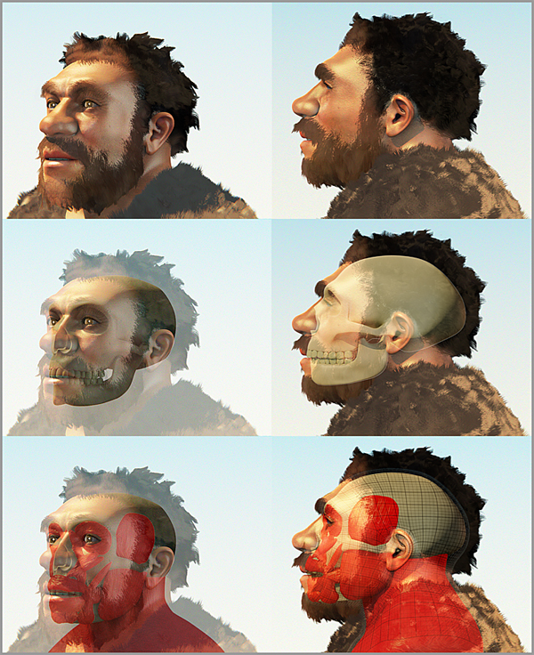 neanderthal02