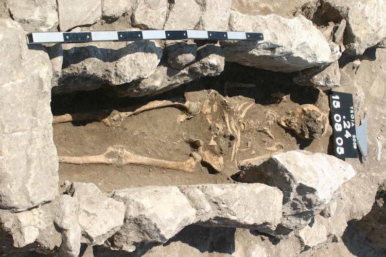 Truva'da 800 yıllık bir kadın iskeleti, ölümcül enfeksiyon izleri taşıyor