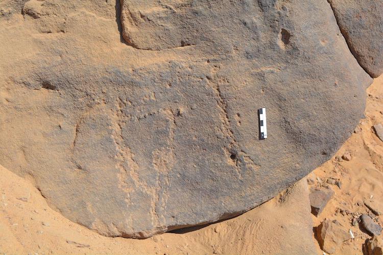 Mısır'da Neolitik Döneme Ait Ritüelistik Kaya Resimleri Bulundu