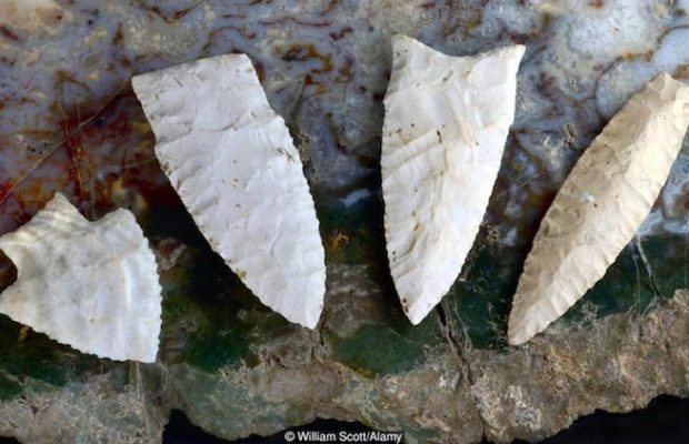 Qisqichbaqasimon onalar ishtirokidagi porno videolar