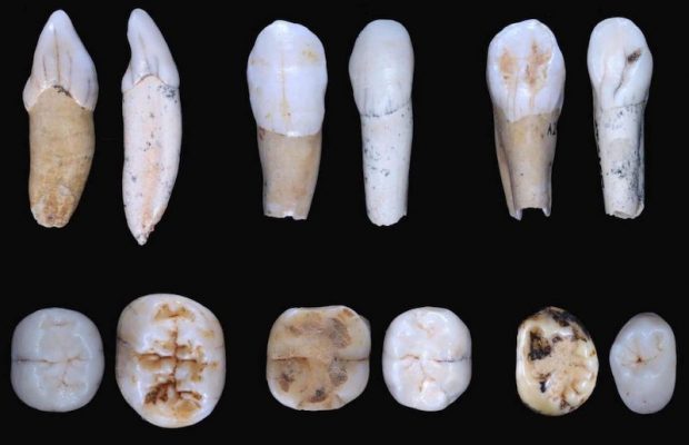 Neanthal Rottip Neandertaller Avrupa Kökenli Olmayabilir - Arkeofili