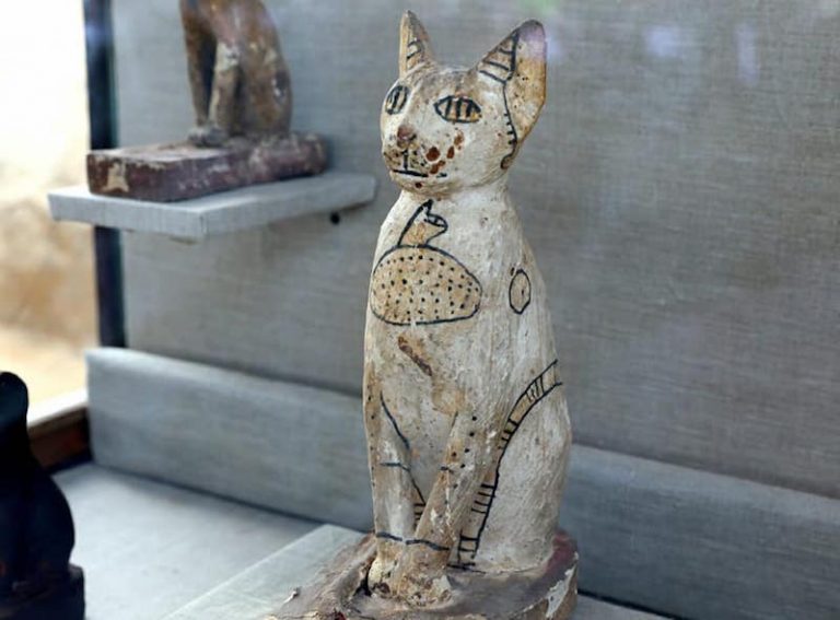 Antik Mısır Mezarında Mumyalanmış Kediler ve Bok Böcekleri Bulundu
