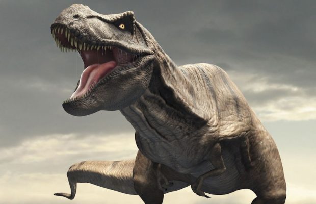 T. rex'in Kafasında 'Klima' Vardı Arkeofili