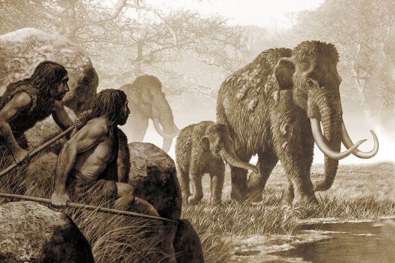 Neandertallerin İlkel Tür Olduğu Algısını Yıkan 6 Sebep Arkeofili