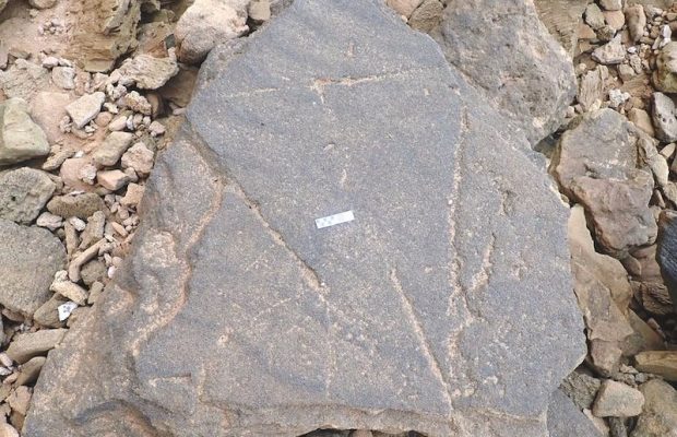 Chexiya etuk ayollar pikap