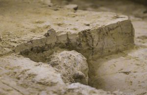 Çin’de 1 Milyon Yıllık Homo erectus Kafatası Bulundu