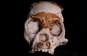 Homo naledi, 236.000 Yıl Önce Ateş Yakmış Olabilir