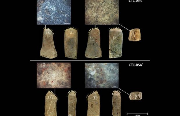 I Neanderthal macinavano il grano 40.000 anni fa