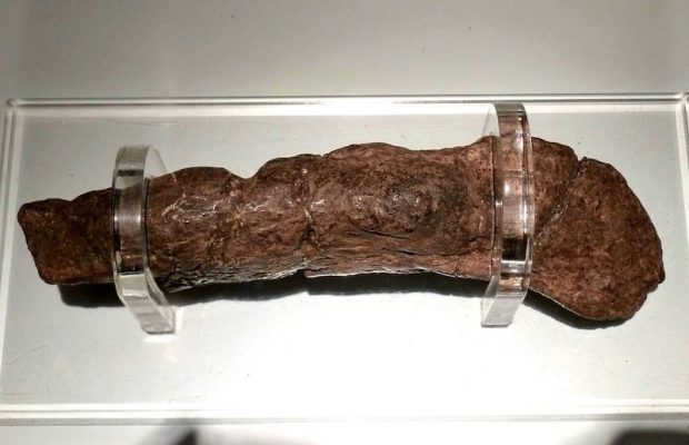 İyi Korunmuş 1.200 Yıllık Viking Dışkısı - Arkeofili