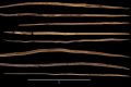 Neandertaller 200.000 Yıl Önce Bu Ahşap Mızraklarla At Avlamış