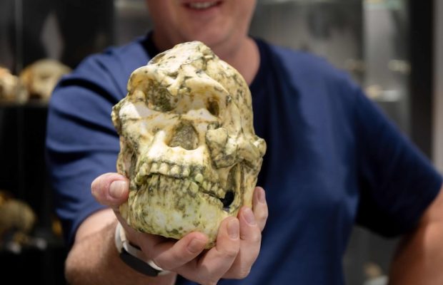 ‘Küçük Ayak’ Fosili, Yeni Bir İnsan Atası Türü Olabilir