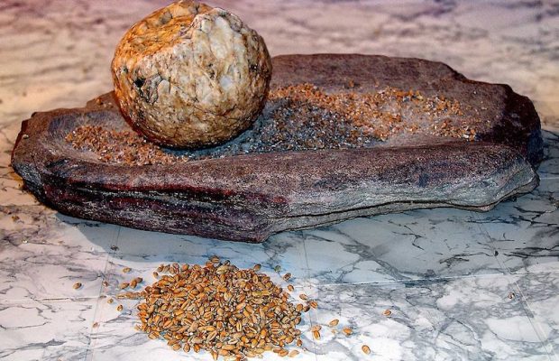 İnsanlar Çok Uzun Süredir ‘İşlenmiş’ Bitkisel Gıdalar Yiyor