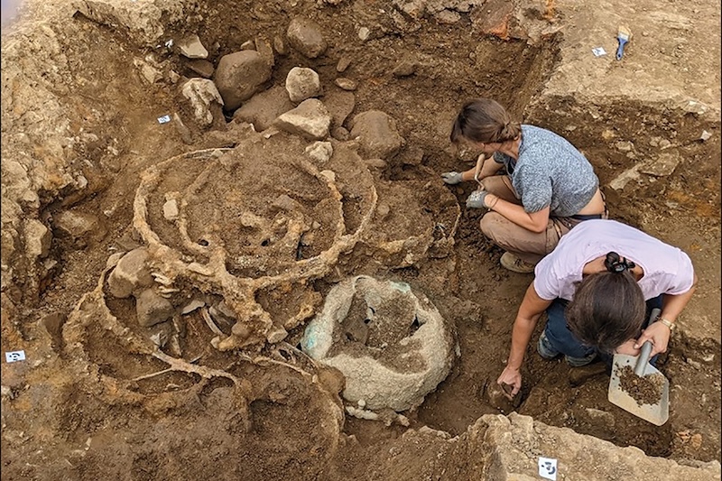 Bu Zengin Koleksiyon, Güçlü Bir Kelt Kraliçesine Ait Olabilir