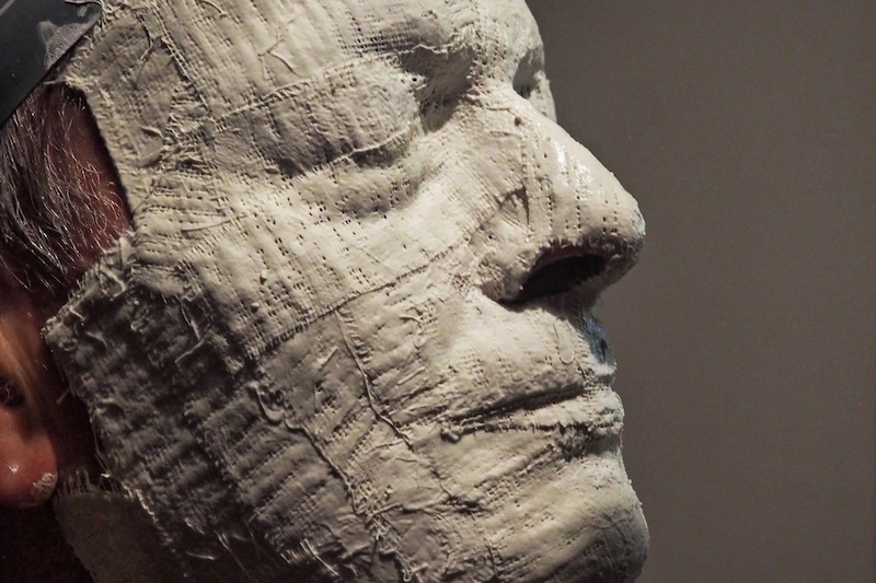 İnsan Yüzleri Diğer Primatlara Kıyasla Neden Bu Kadar Çeşitli?